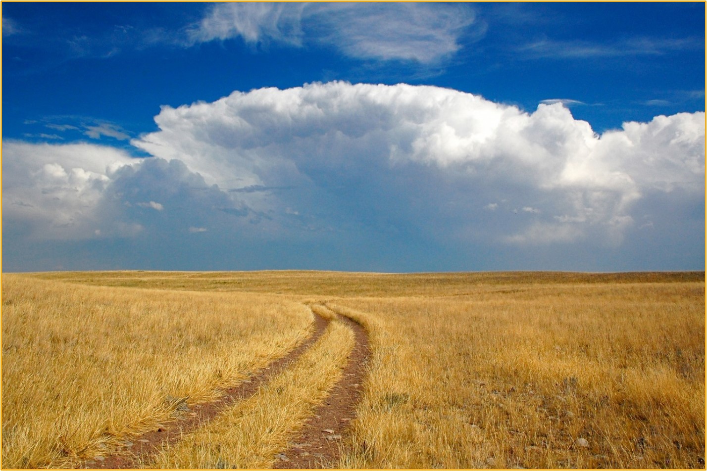 Cumulonimbus cloud over the prairie, near Augusta, MT. Photo: Michael Downey